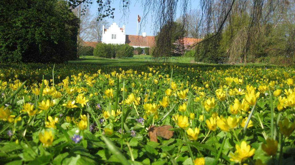 Aengavallen Vellinge Buitenkant foto